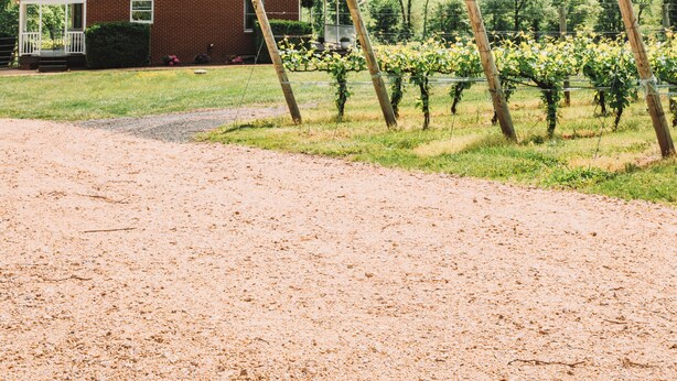 Ein rotes Backsteinhaus mit weißer Veranda, umgeben von einem Weinberg und einer Schotterauffahrt.