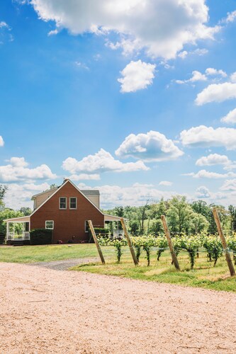 Vineyard Cottage w/ BBQ & Scenic Views