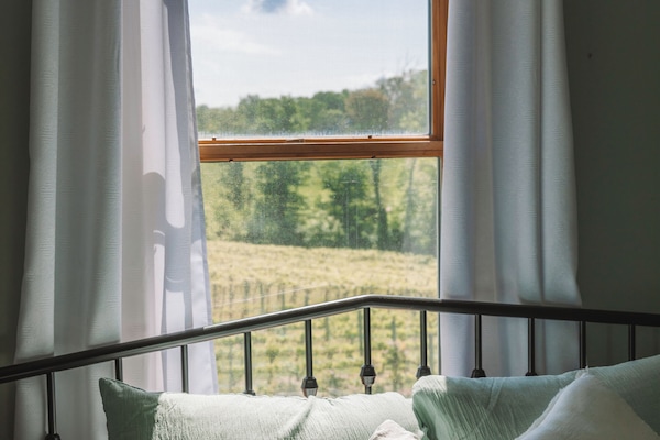 4 chambres, fer et planche Ă repasser, Wi-Fi, draps fournis