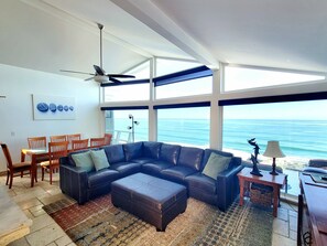TV, fireplace, DVD player, books