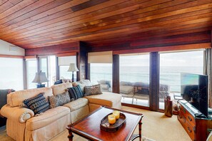 TV, fireplace, DVD player, books