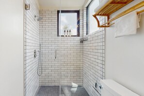 Shower, hair dryer