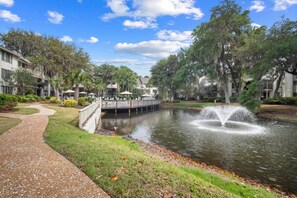 Terrain de lâhĂ©bergement