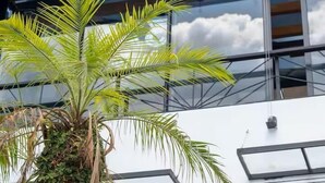 A modern building with large windows and a palm tree in the foreground. - Hotel 79 parque del poblado (Medellín)