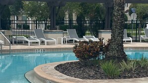 Une piscine avec un bord carrelé, des chaises longues et un palmier.