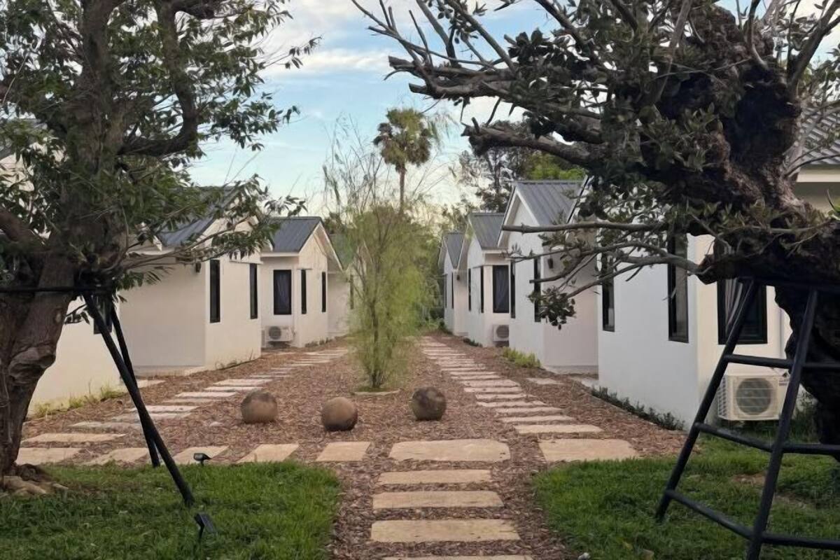 A pathway leading to a row of white cottages with dark shutters, surrounded by trees and a stone walkway.