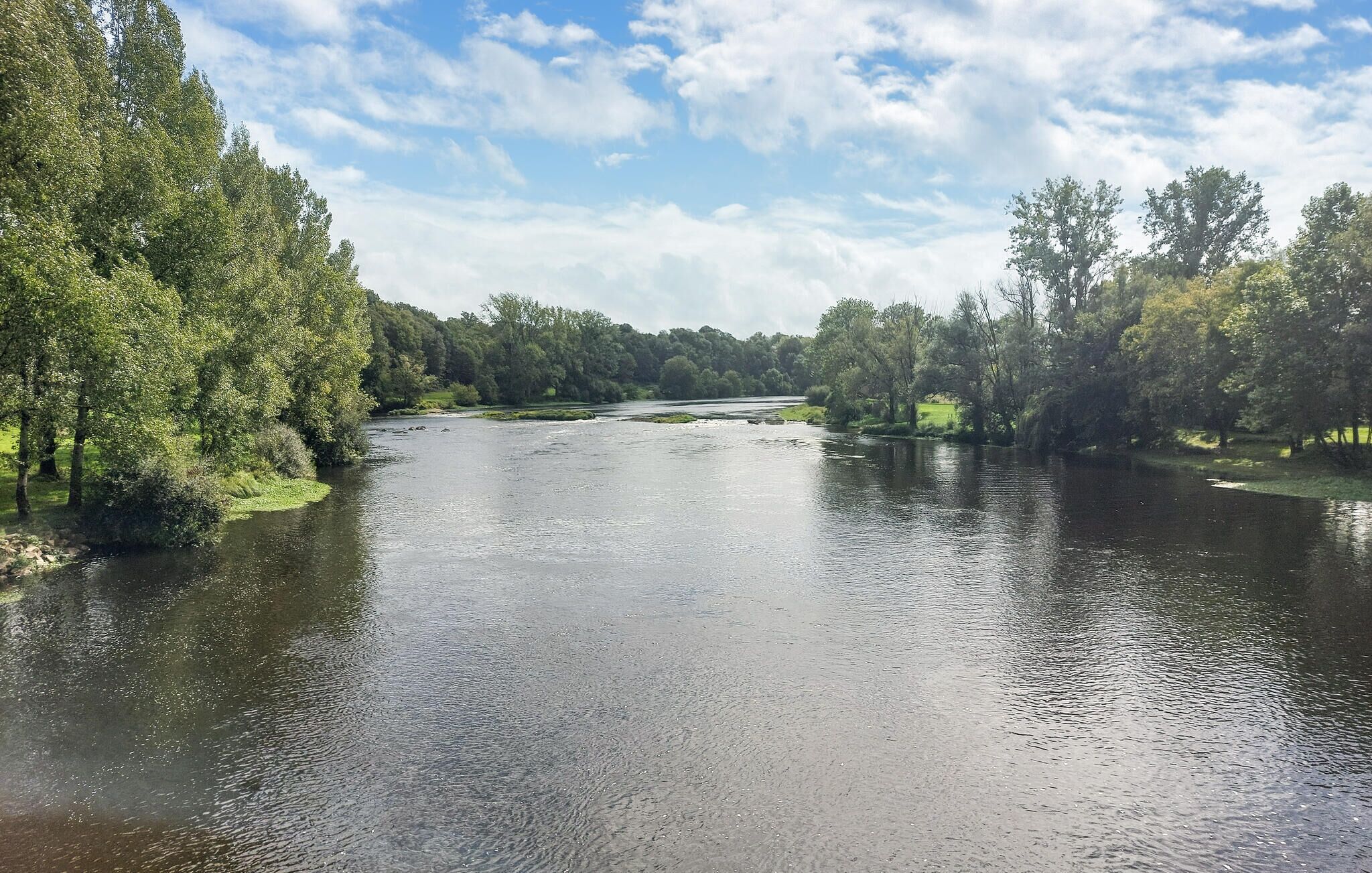 A river surrounded by dense trees and a clear sky.