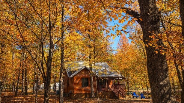 A rustic cabin surrounded by autumn foliage. - Ishki Creek Cabin ~Your peaceful cabin getaway (Broken Bow)