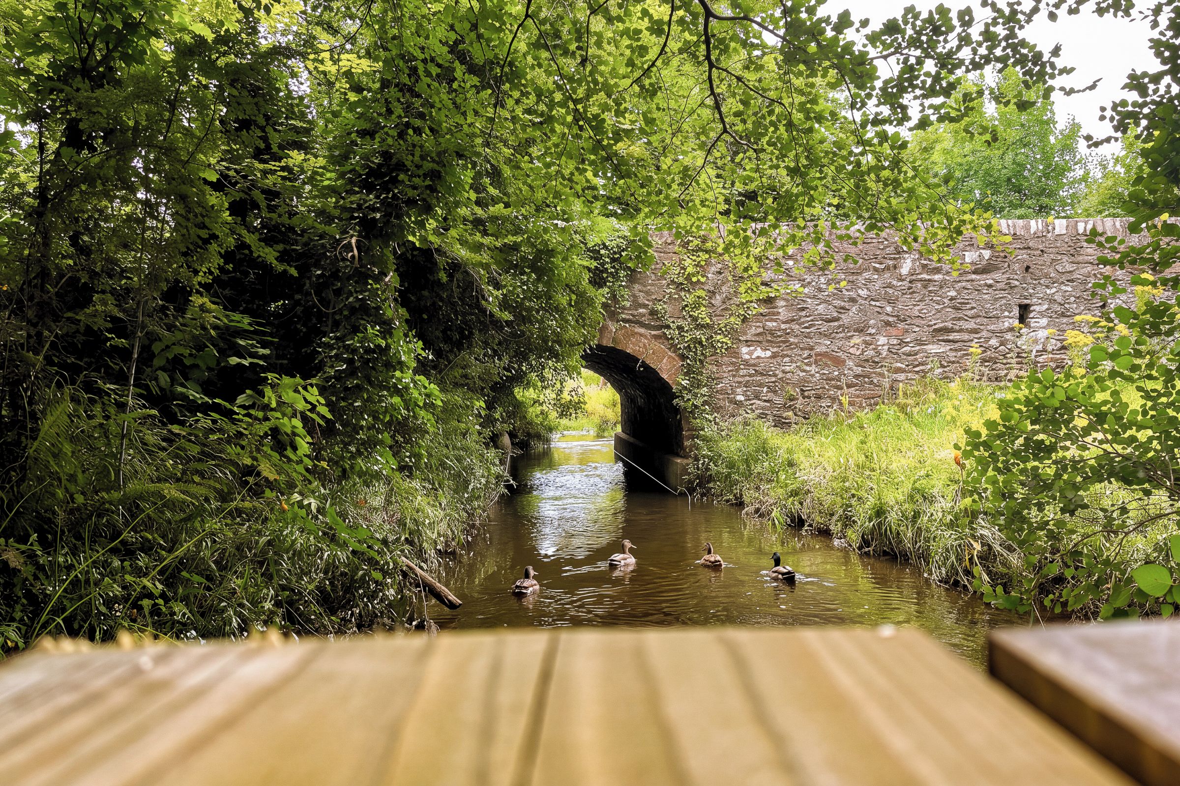 Eine steinerne Brücke über einem ruhigen Fluss, umgeben von üppigem Grün.