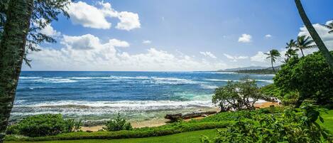 A coastal view with a grassy area, a beach, and the ocean.