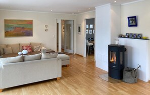 مدفأة، مشغل دي في دي