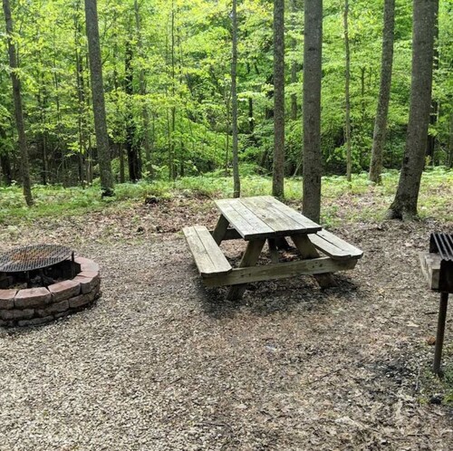 Gorgeous Cabin surrounded by wildlife!