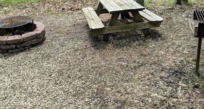 Gorgeous Cabin surrounded by wildlife!