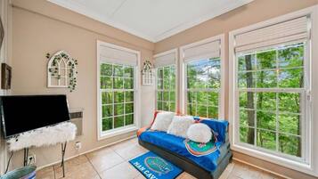 TV connectée, cheminée