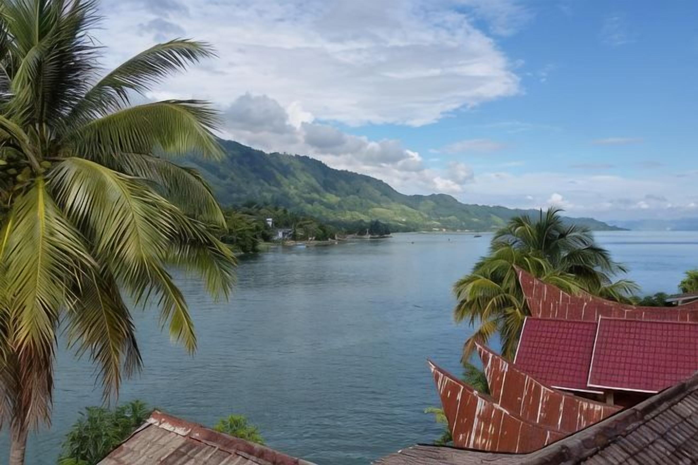 A coastal view with a body of water, palm trees, and a mountainous landscape in the background.