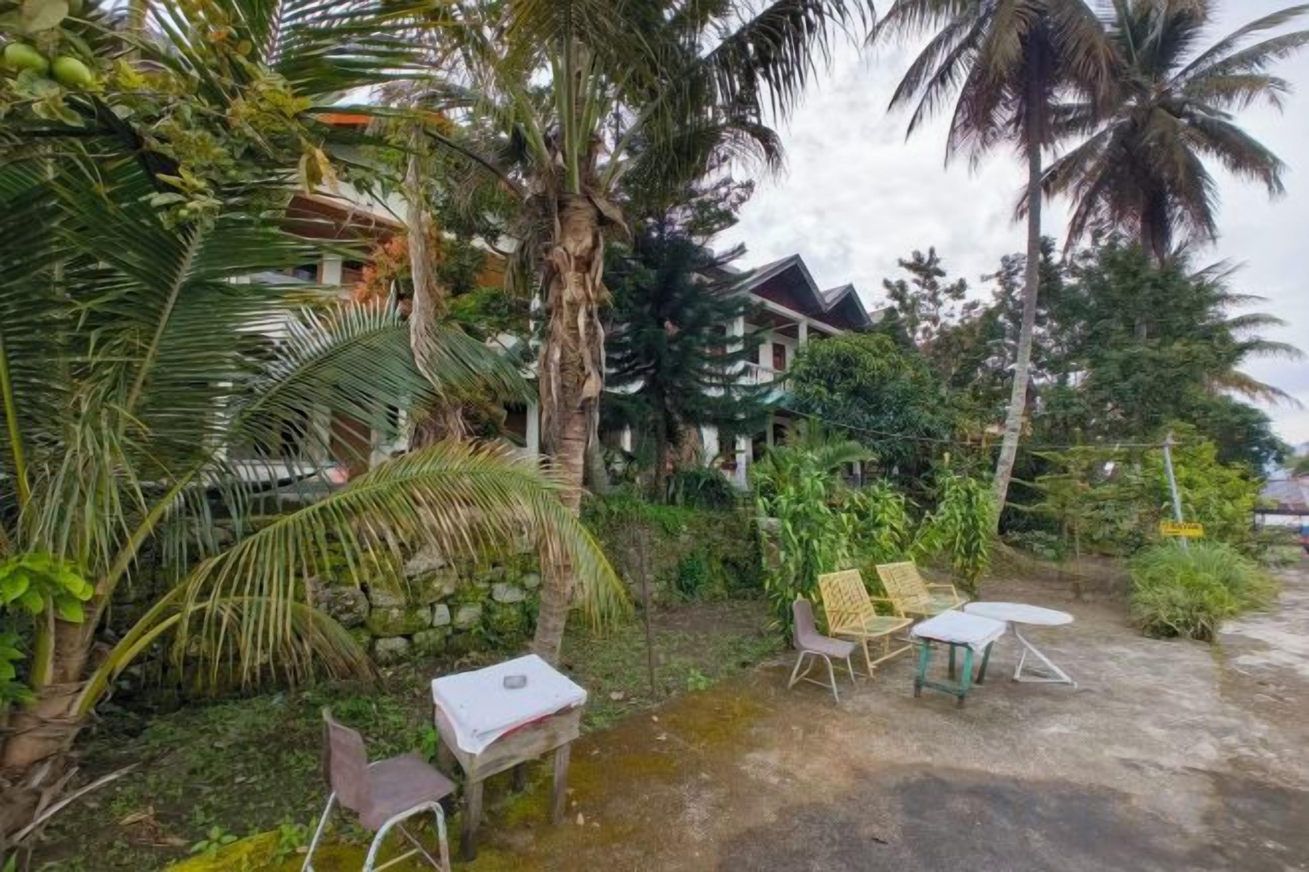 A tropical outdoor seating area with chairs and a table, surrounded by lush greenery and palm trees.