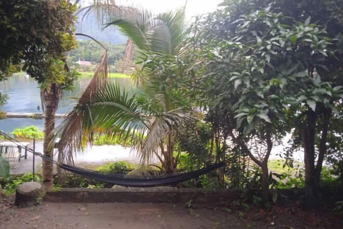 A hammock between trees with a view of a body of water and greenery.