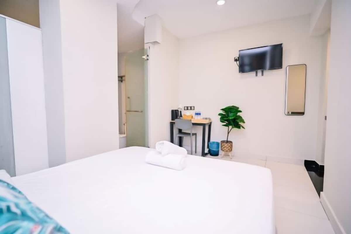 A hotel room with a bed, a desk, a TV, a mirror, and a plant.