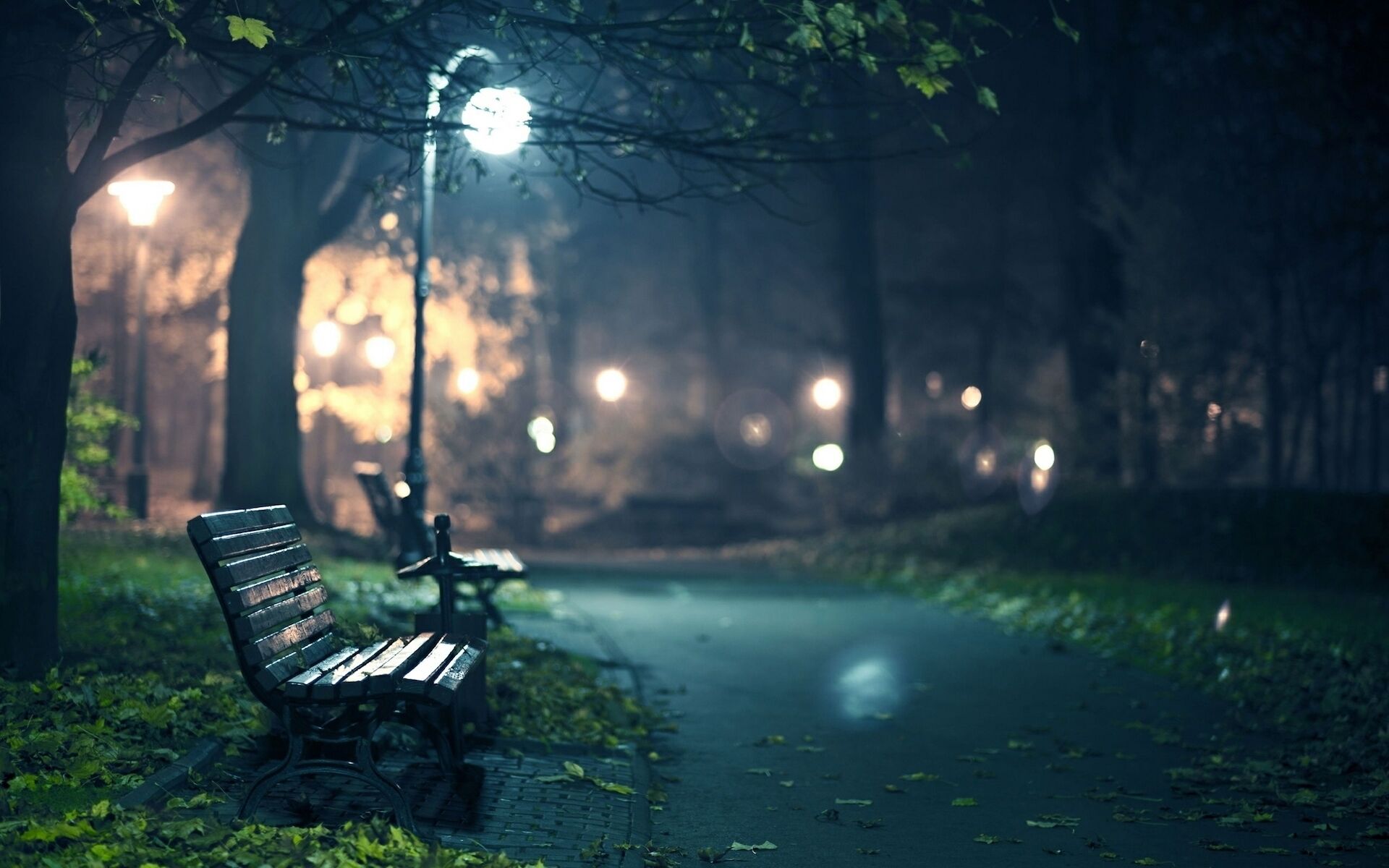 Un banco de parque y un farol en un parque tenuemente iluminado por la noche.