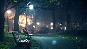 A park bench and a lamppost in a dimly lit park at night. - Charming 1-bedroom house in awesome St. George with AC. (St. George)