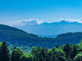 Un paisaje montañoso con bosques densos y un cielo despejado.