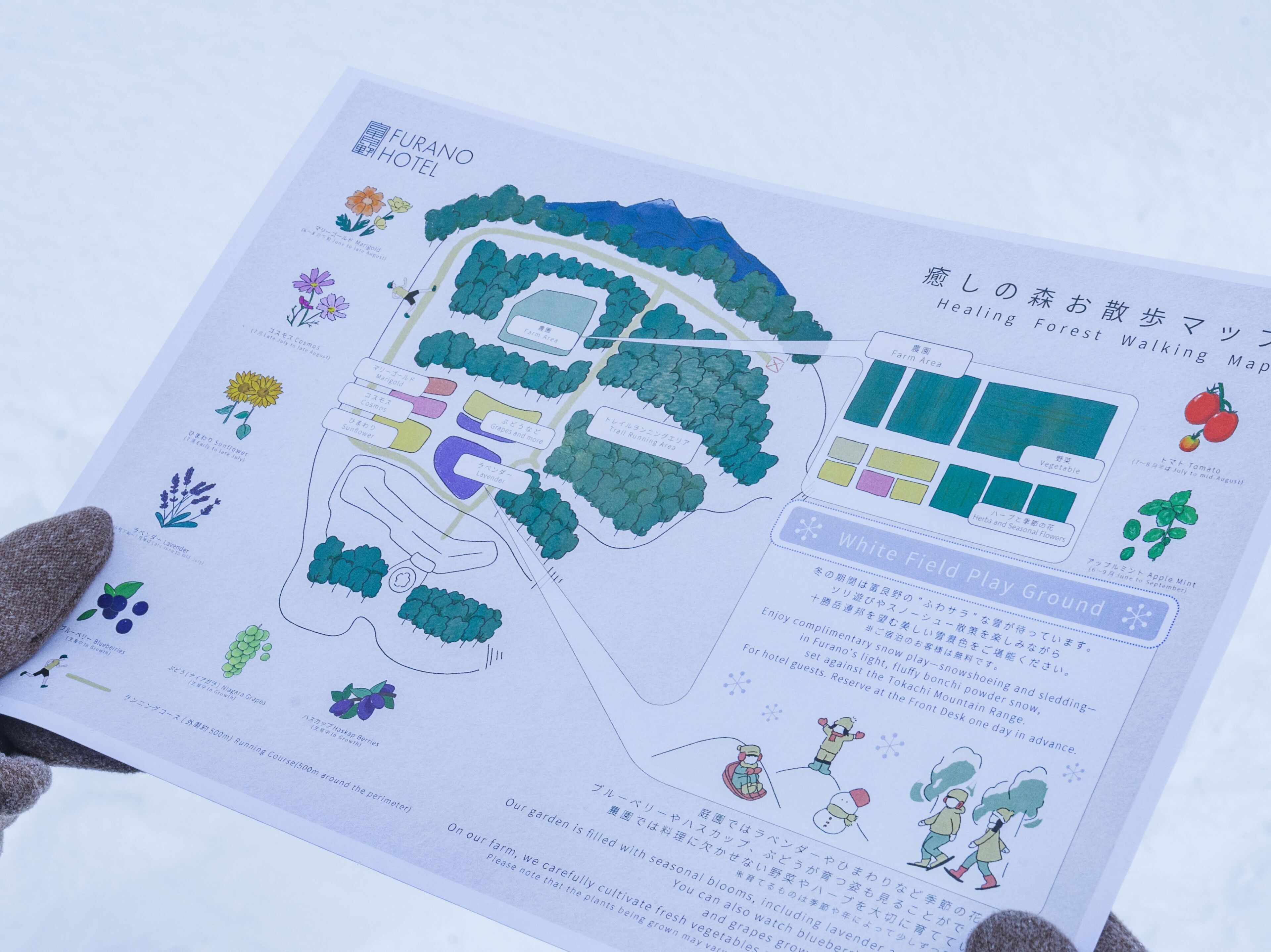 Mapa del jardín del Hotel Furano con zonas señalizadas, una pista de carrera y flores de temporada.