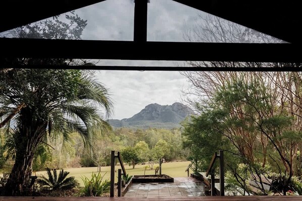 Property grounds - Tuckeroo Cottages - Rosella Cottage (Rathdowney)