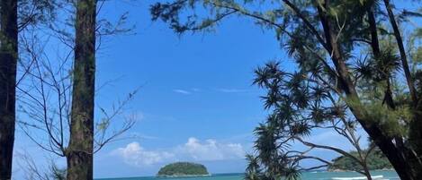 Servicio de la propiedad