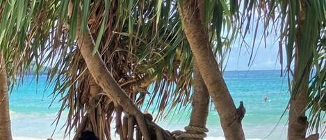 Servicio de la propiedad