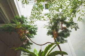 A view of a building's interior with a staircase and a hanging plant. - Carnarvon 73 (George Town)
