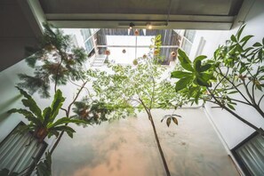 A view from a window overlooking a courtyard with plants and a building in the background. - Carnarvon 73 (George Town)