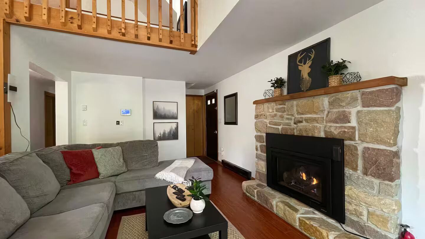 Smart TV, fireplace, books