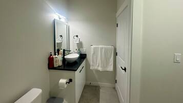 Bidet, towels, soap, toilet paper