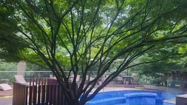 Kolam renang outdoor