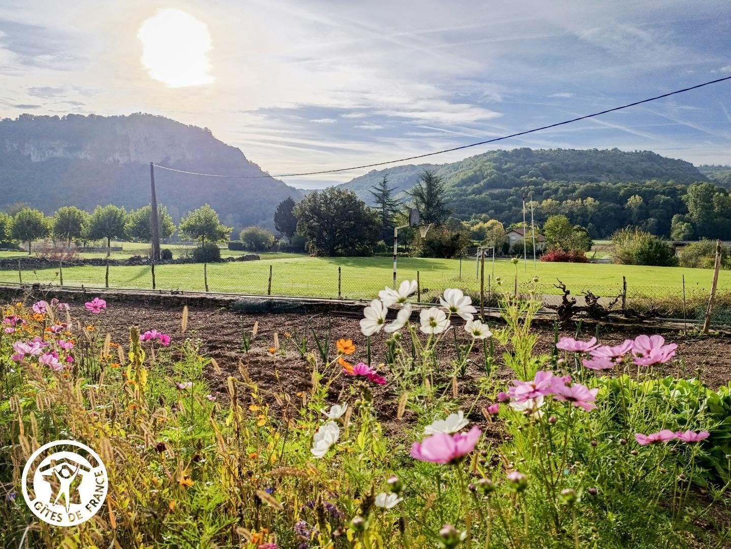 Landelijk landschap met een heldere lucht, een spoorlijn en diverse bloemen op de voorgrond.