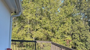 Una terrassa de fusta amb barana, dues cadires Adirondack vermelles i vistes a una zona boscosa.