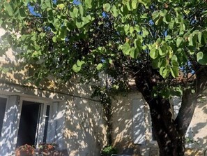 Exterior detail - Cootage between nature and comfort (BREUIL-MAGNÉ)