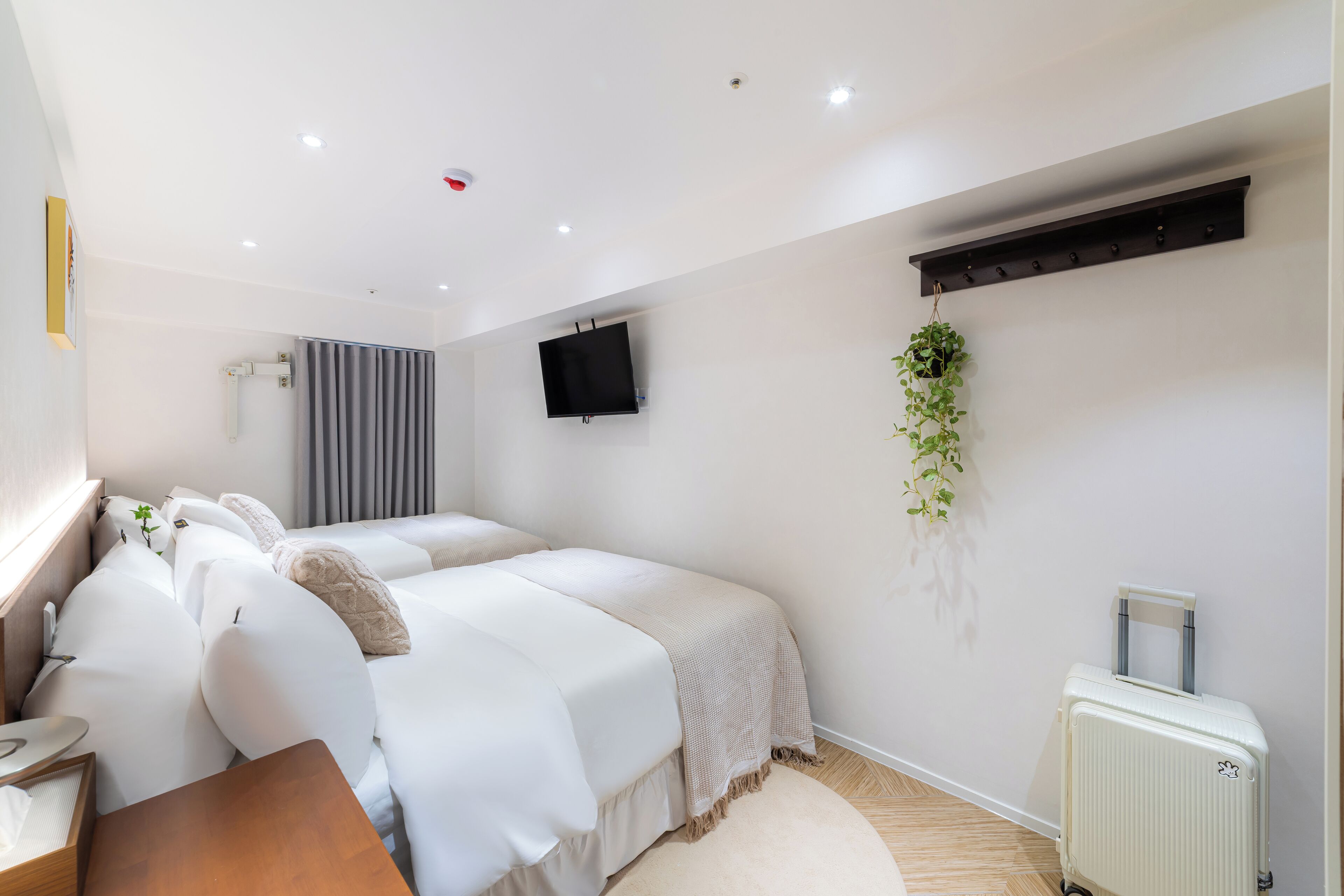 Een moderne hotelkamer met twee bedden, een flatscreen televisie, een radiator en een kleine plant.