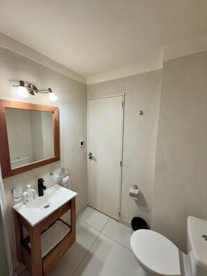 Hair dryer, soap - Quiet oasis in Recoleta: Silence and comfort (Buenos Aires)