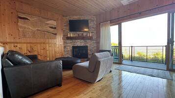 Smart TV, fireplace, books, printers
