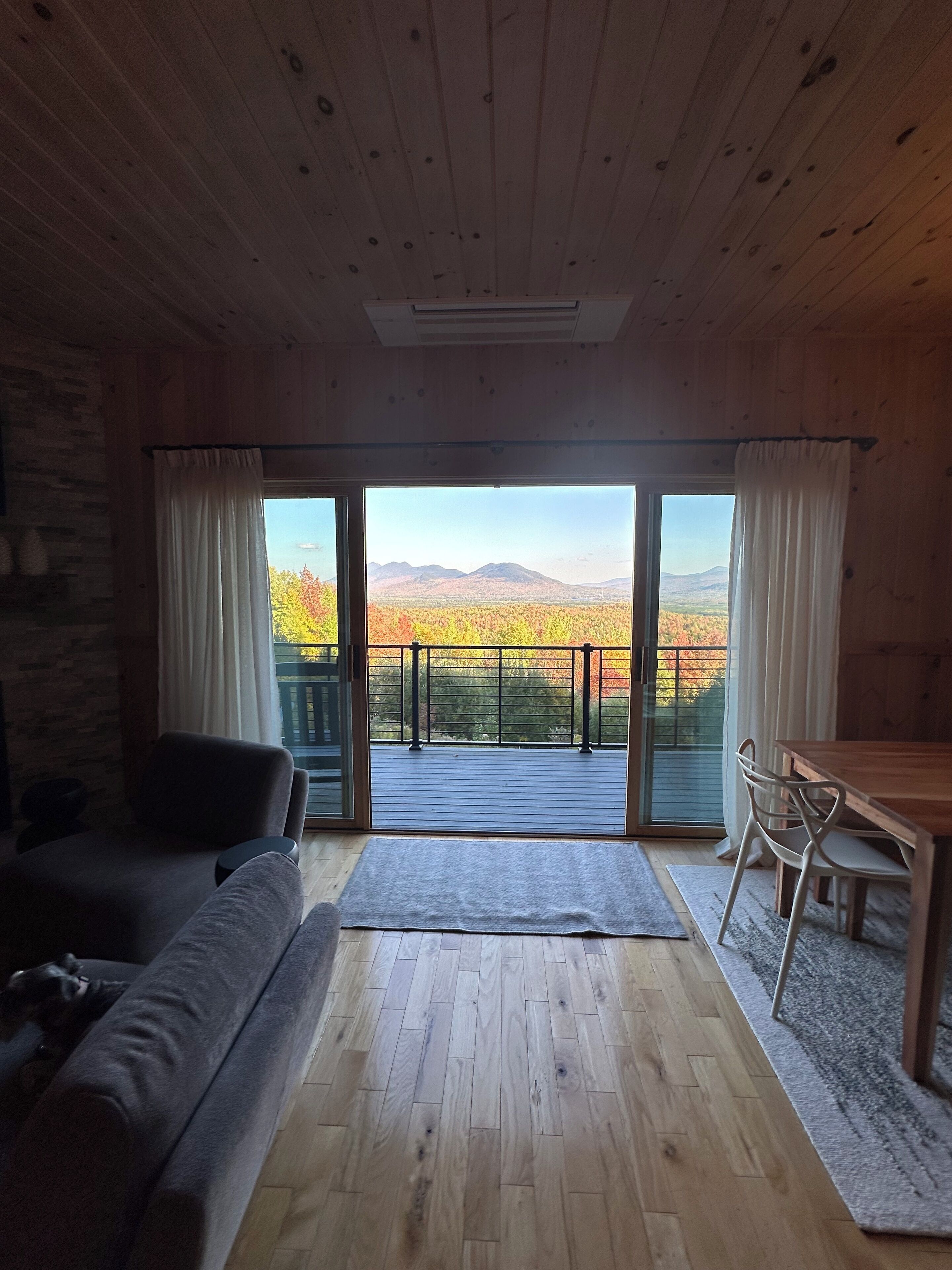 Smart TV, chimenea, libros, impresora