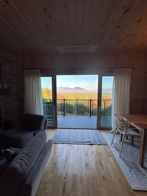 Smart TV, chimenea, libros y impresora