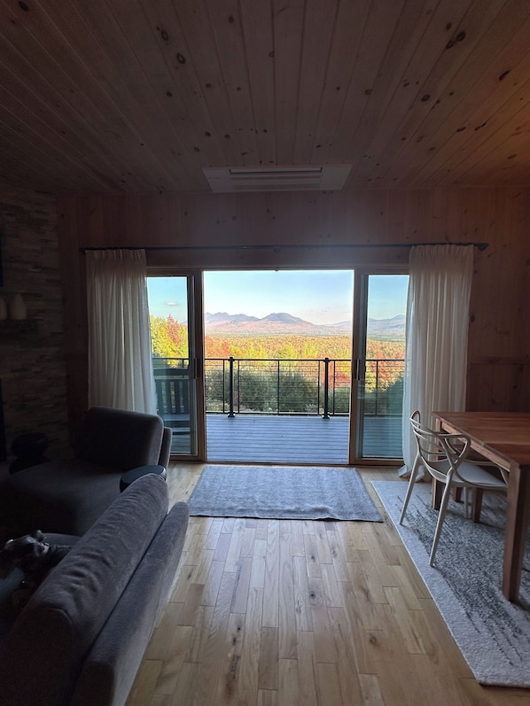 Smart TV, fireplace, books, printers