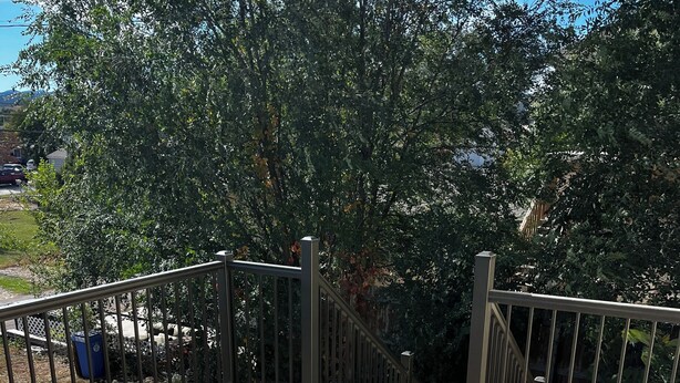 A wooden deck with metal railings, surrounded by trees and a clear sky.