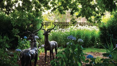 Musk Farm Studio Daylesford