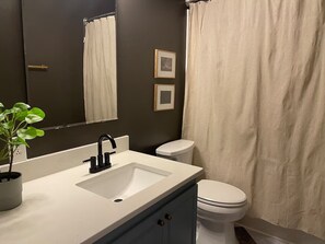 A bathroom with a white sink, black faucet, and a potted plant. - The Gentry Hideaway – A Private Mayberry Retreat (Mount Airy)