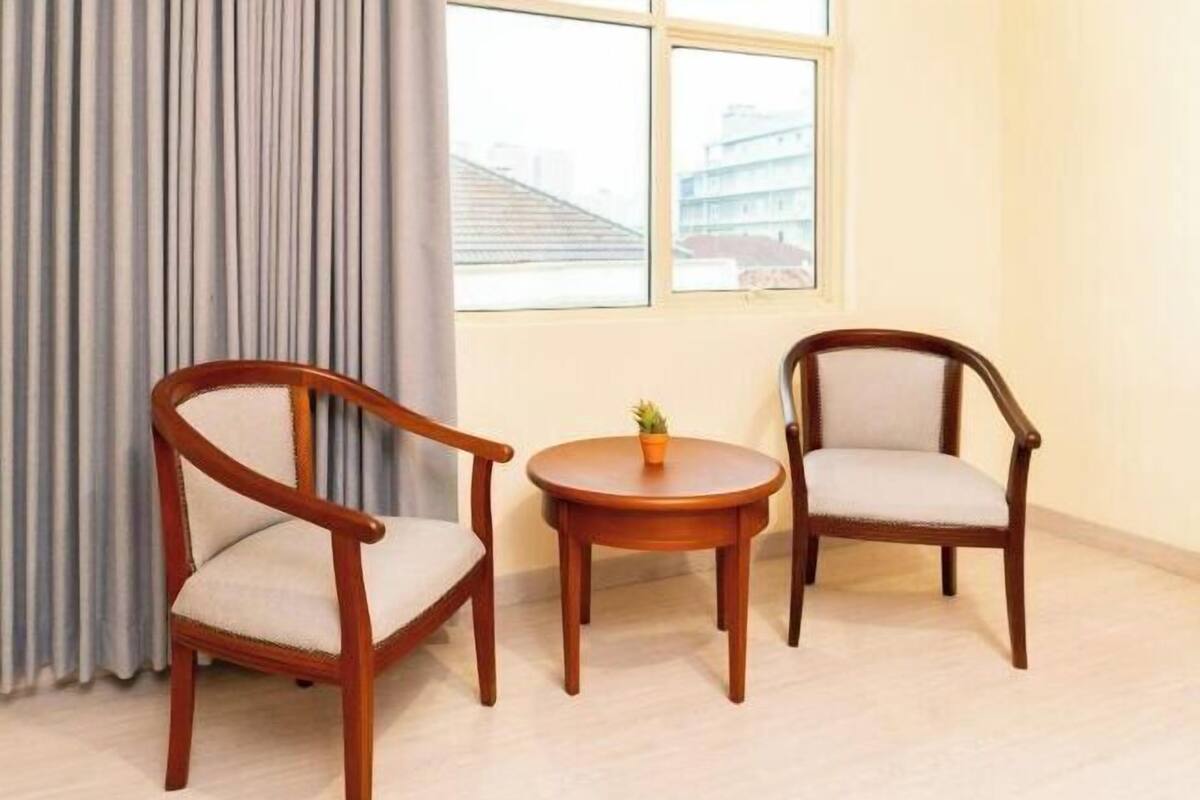 A room with two wooden chairs, a small round table with a plant, and a view of buildings through a window.