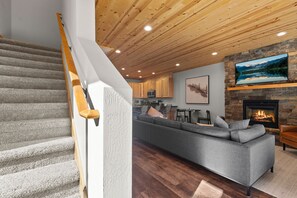 Smart TV, fireplace, books