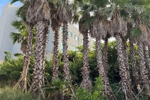 Exterior - Dodu trophycal Pool Villa near by Airport (Jeju)