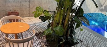 Dodu trophycal Pool Villa near by Airport